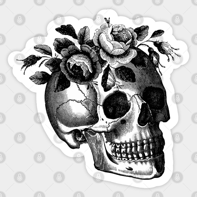 Memento Skull Sticker by LadyMorgan